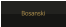 Bosanski